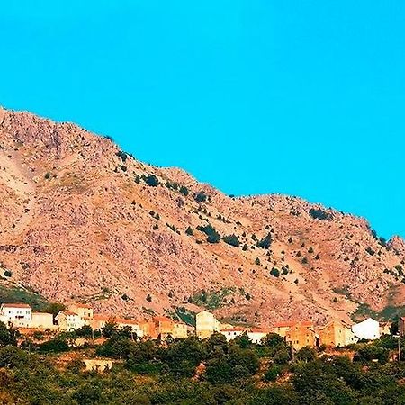 Auberge Casa Mathea Poggio-di-Venaco Екстериор снимка