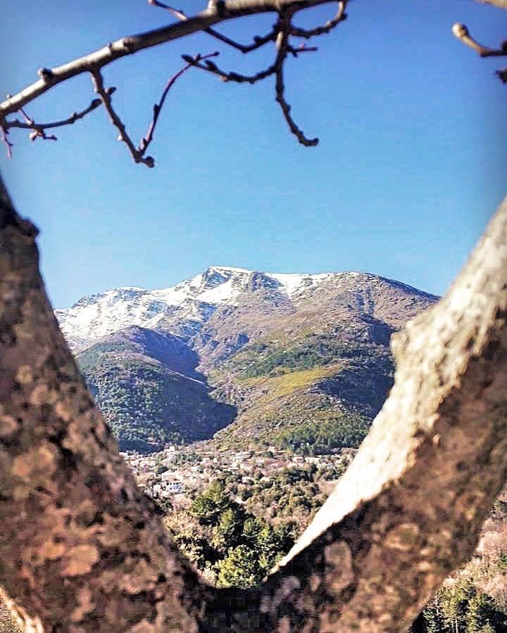 Auberge Casa Mathea Poggio-di-Venaco Екстериор снимка